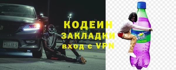 прущие грибы Абаза