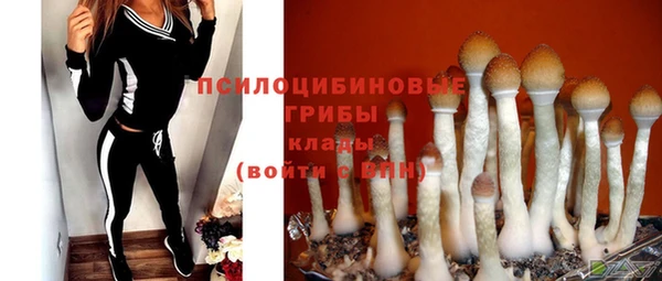 СК Абинск