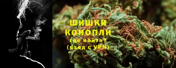 прущие грибы Абаза