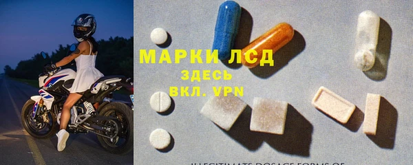 прущие грибы Абаза